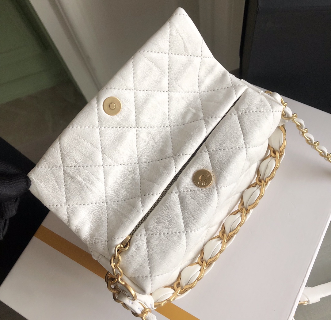 Chanel Luxury Handbag Collection 7