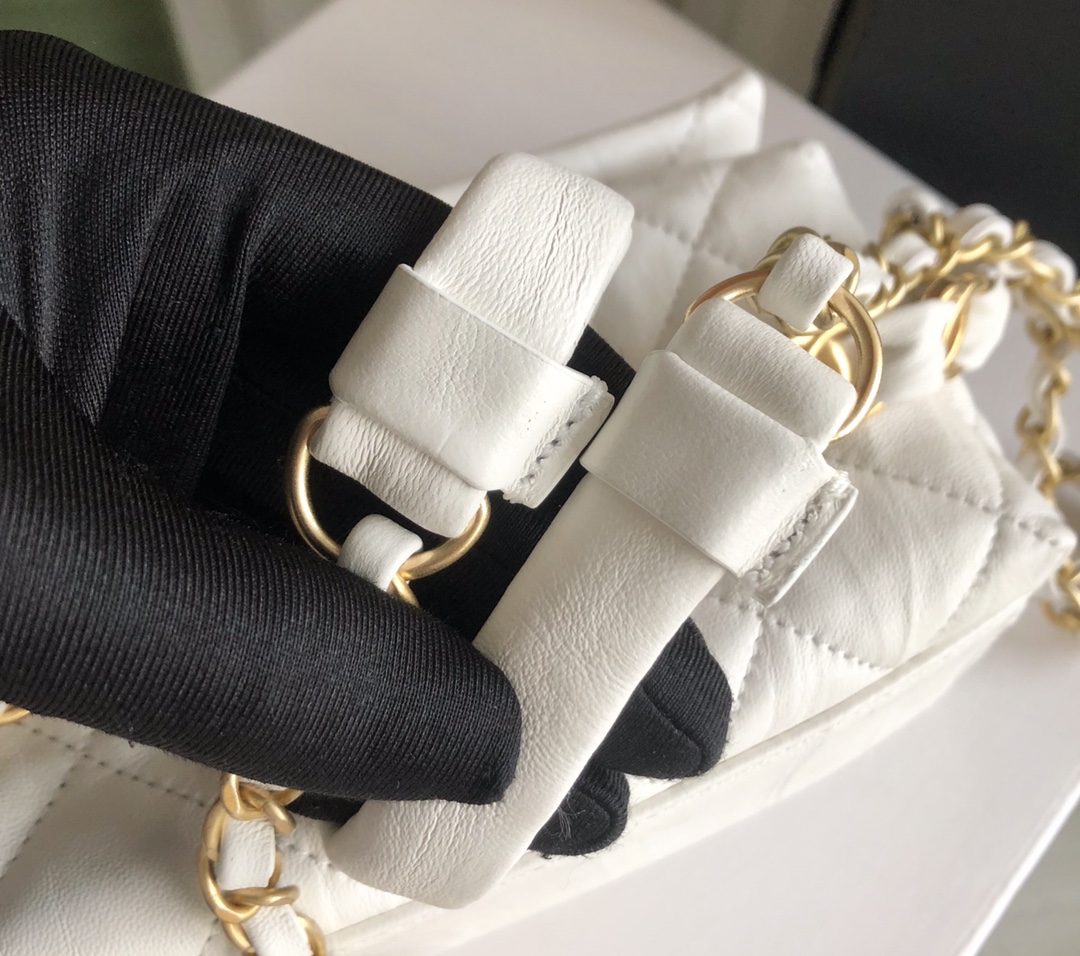 Chanel Luxury Handbag Collection 6