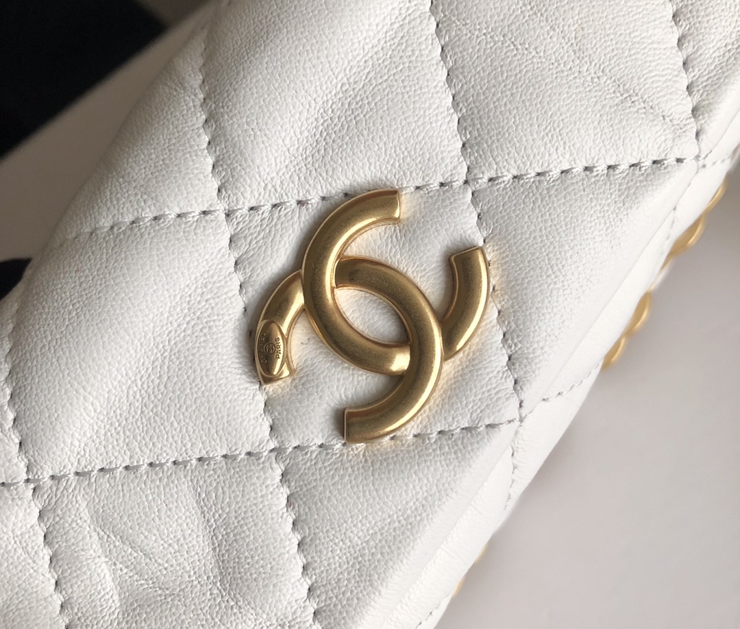Chanel Luxury Handbag Collection 5