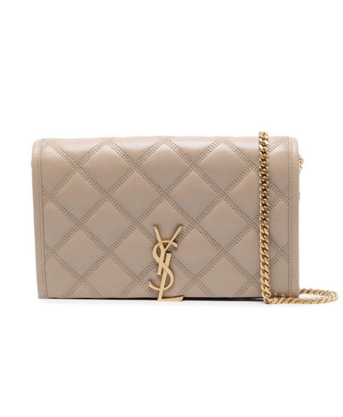 Coach Snakeskin Link Clutch Bag