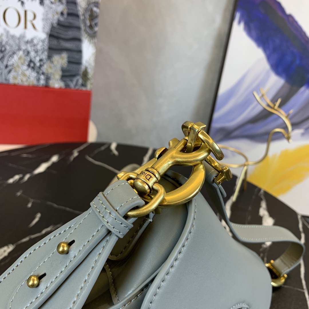 p350 平纹Dior Oblique Saddle Bag 在众多的马鞍包里