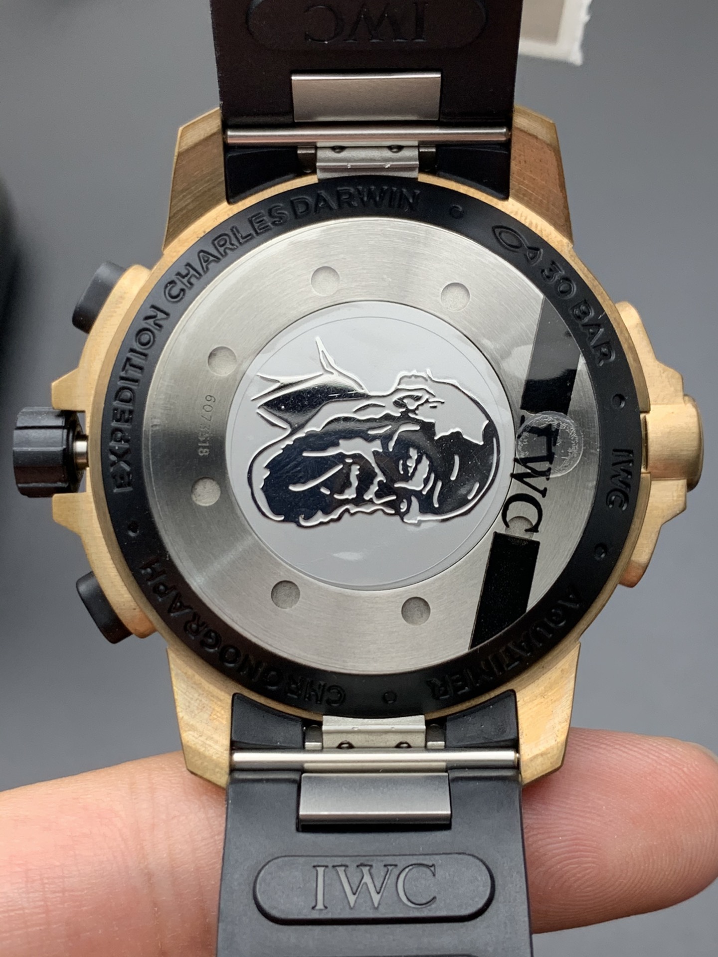 IWC V6 青铜达文西计时