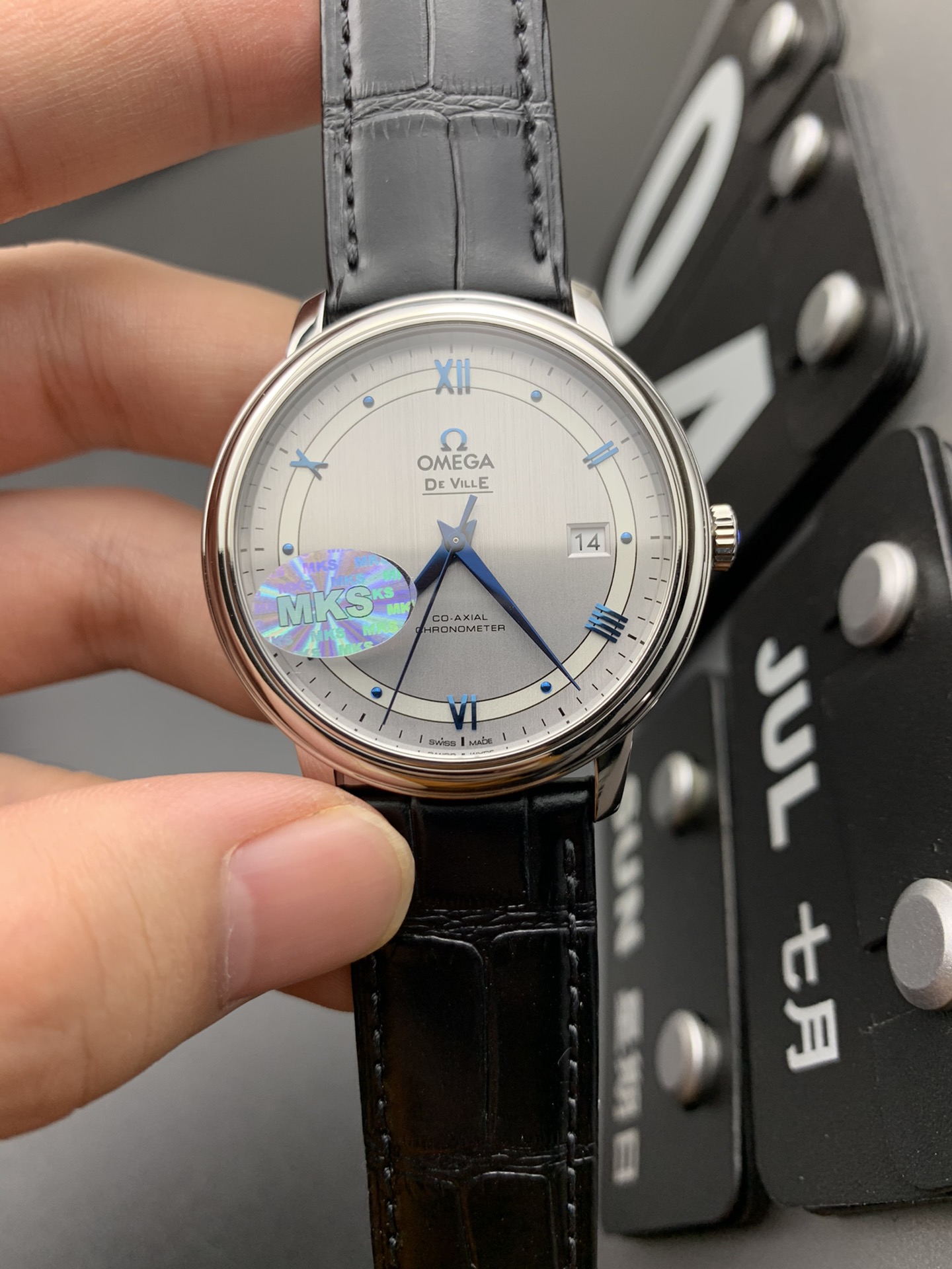 Omega MKS 蓝针轨道蝶飞