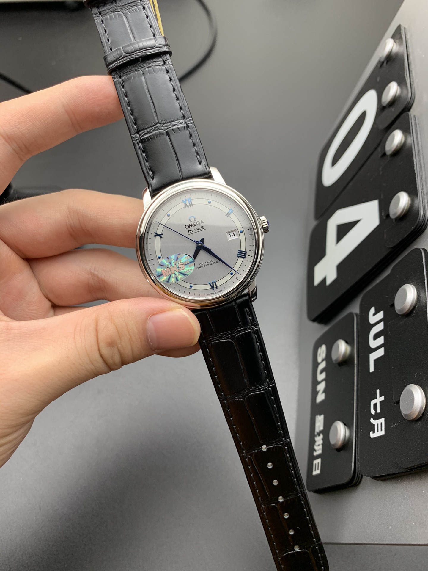 Omega MKS 蓝针轨道蝶飞