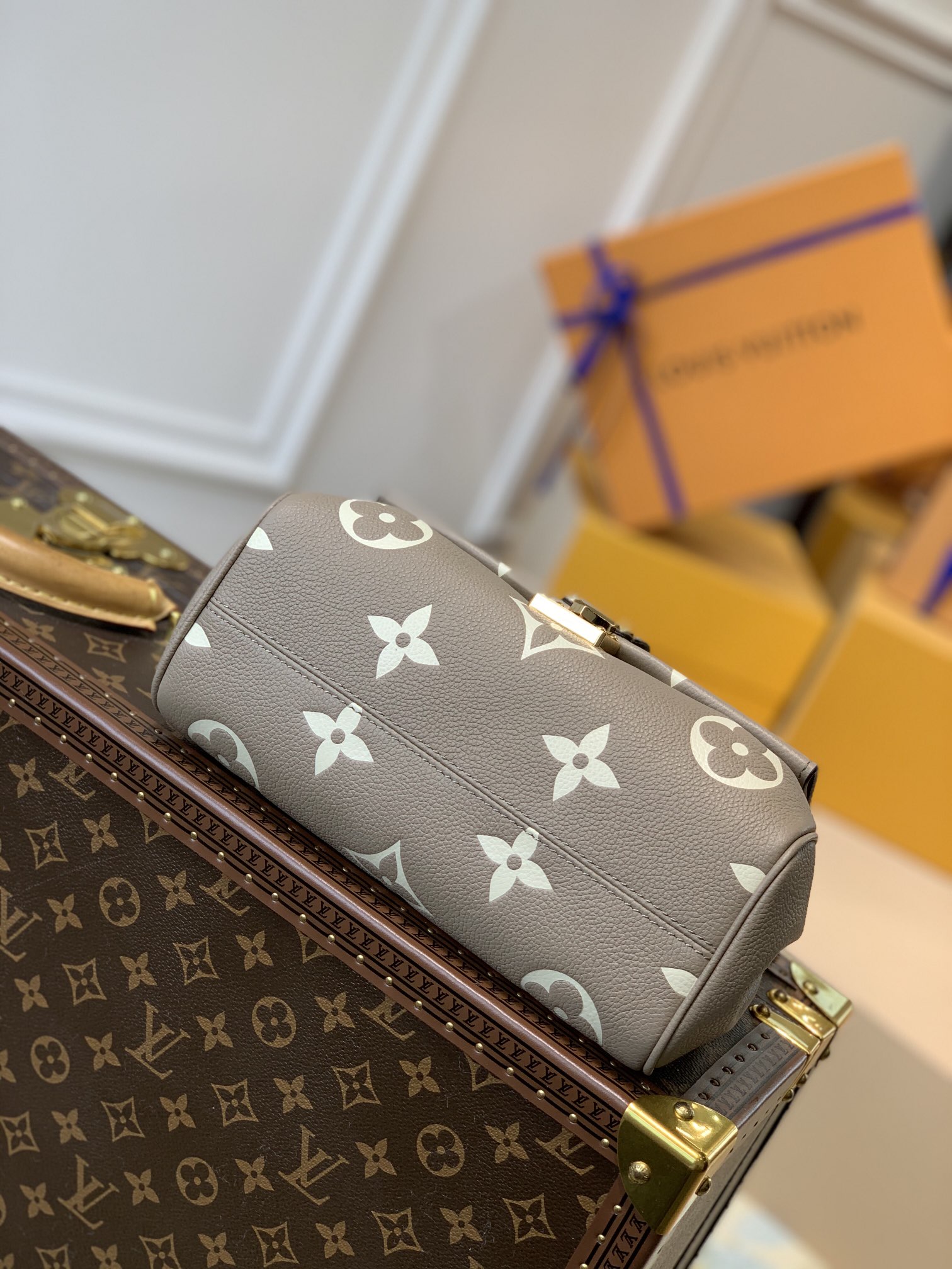 Louis Vuitton LV Favorite M45836