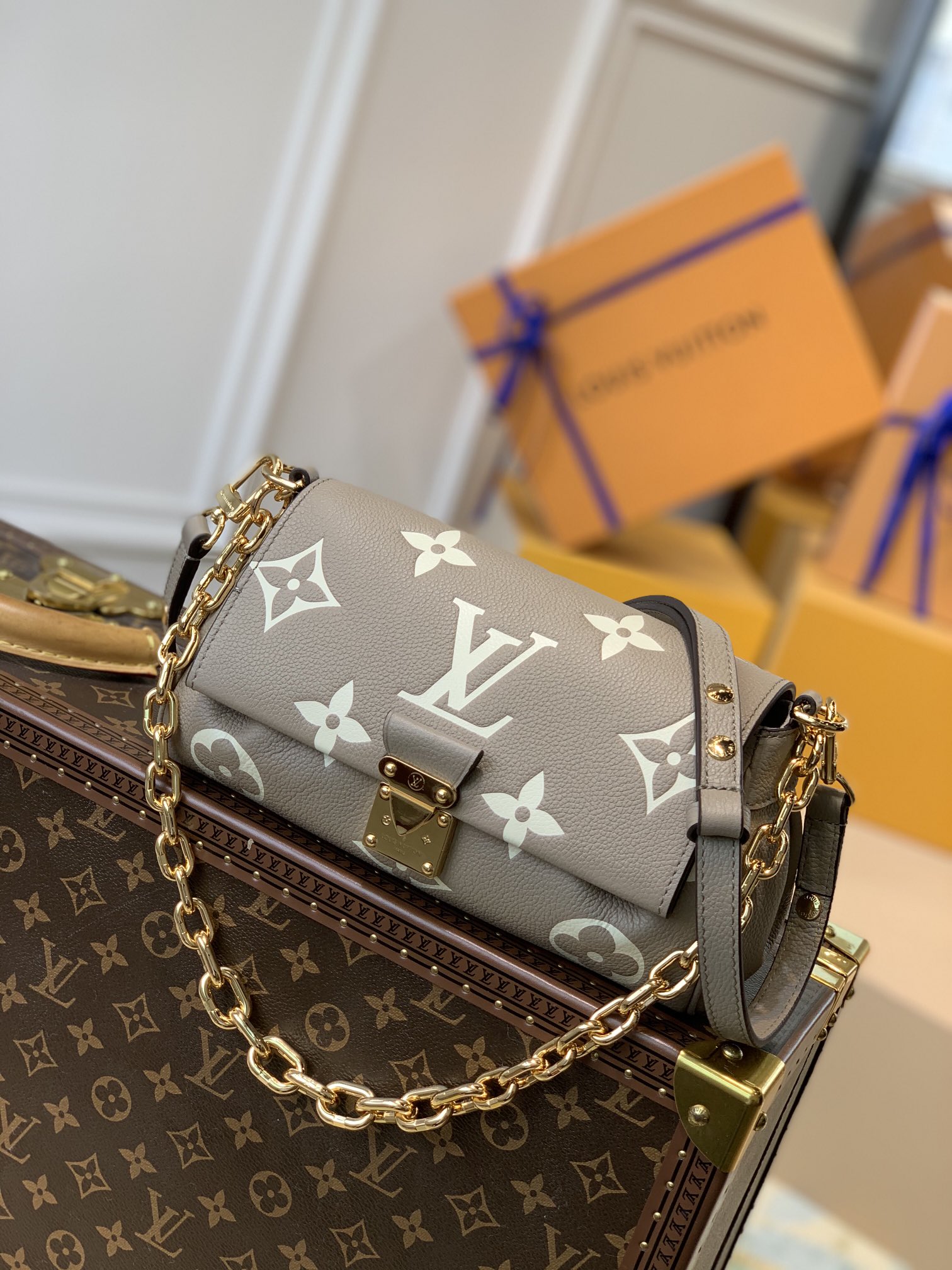 Louis Vuitton LV Favorite M45836