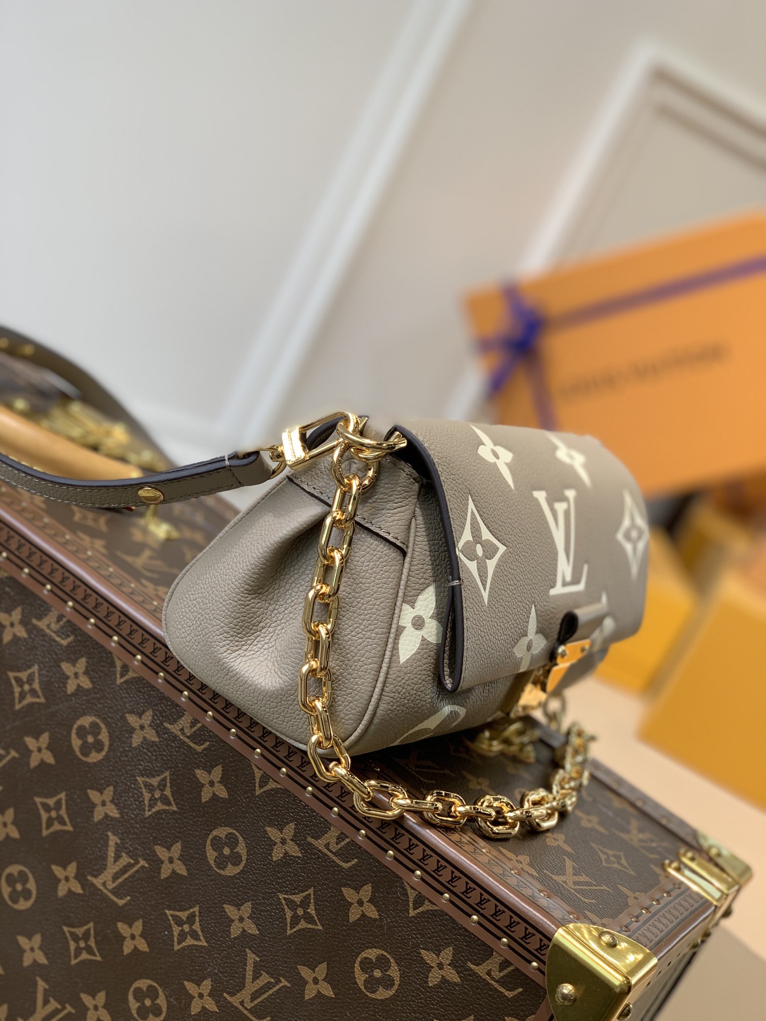 Louis Vuitton LV Favorite M45836