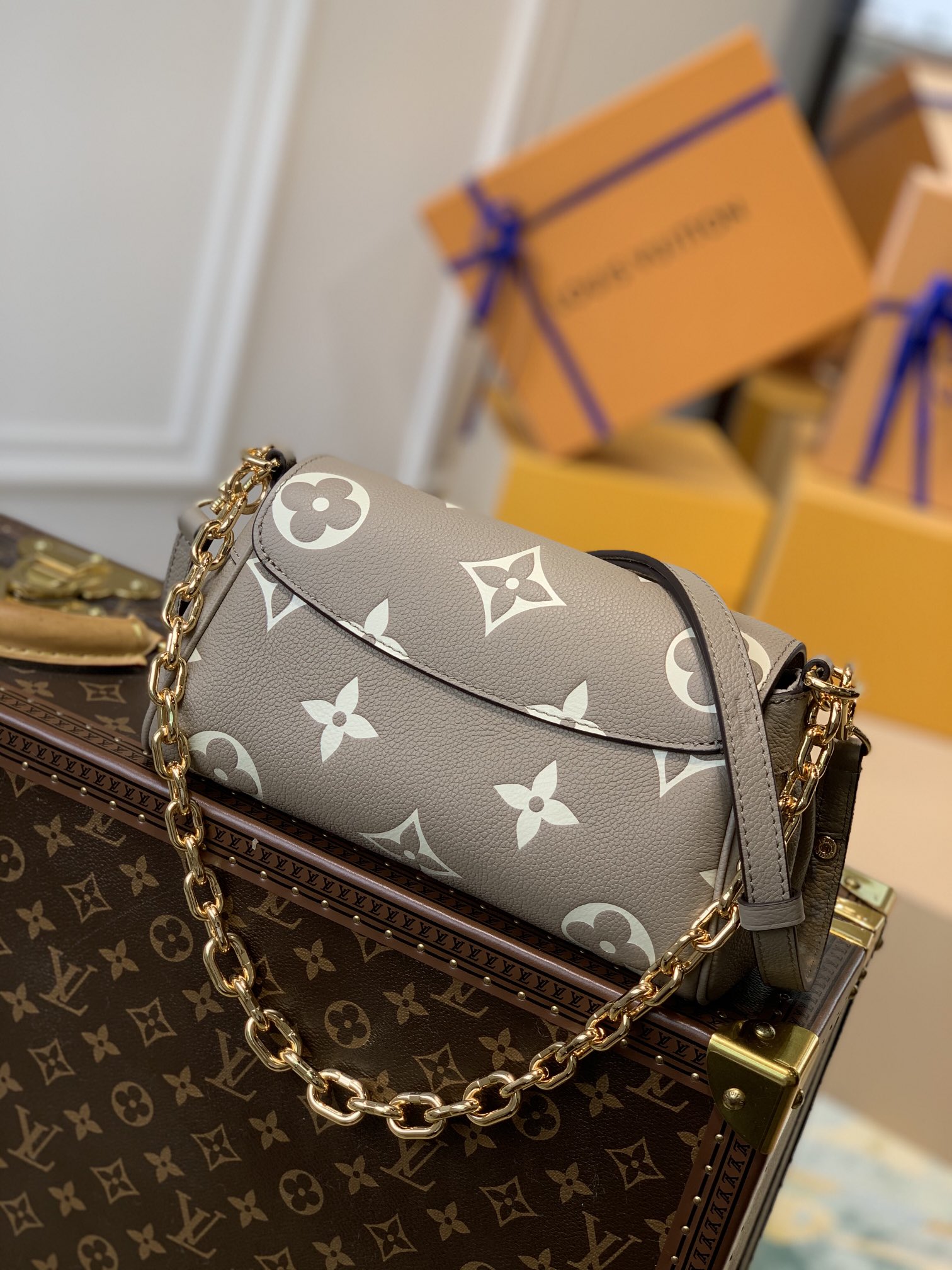 Louis Vuitton LV Favorite M45836
