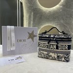 Dior Handbags Cosmetic Bags Blue Embroidery