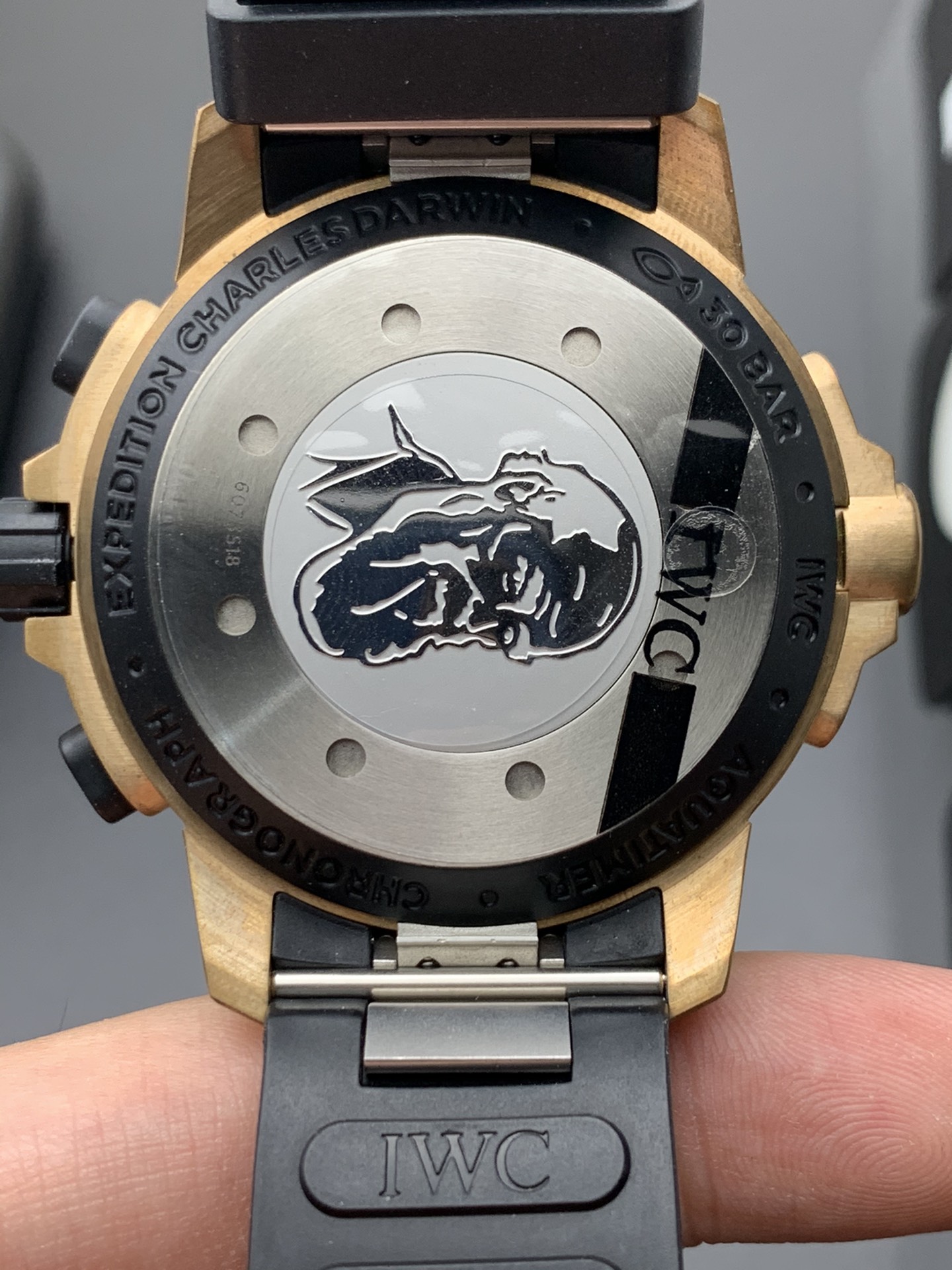 IWC V6 青铜达文西