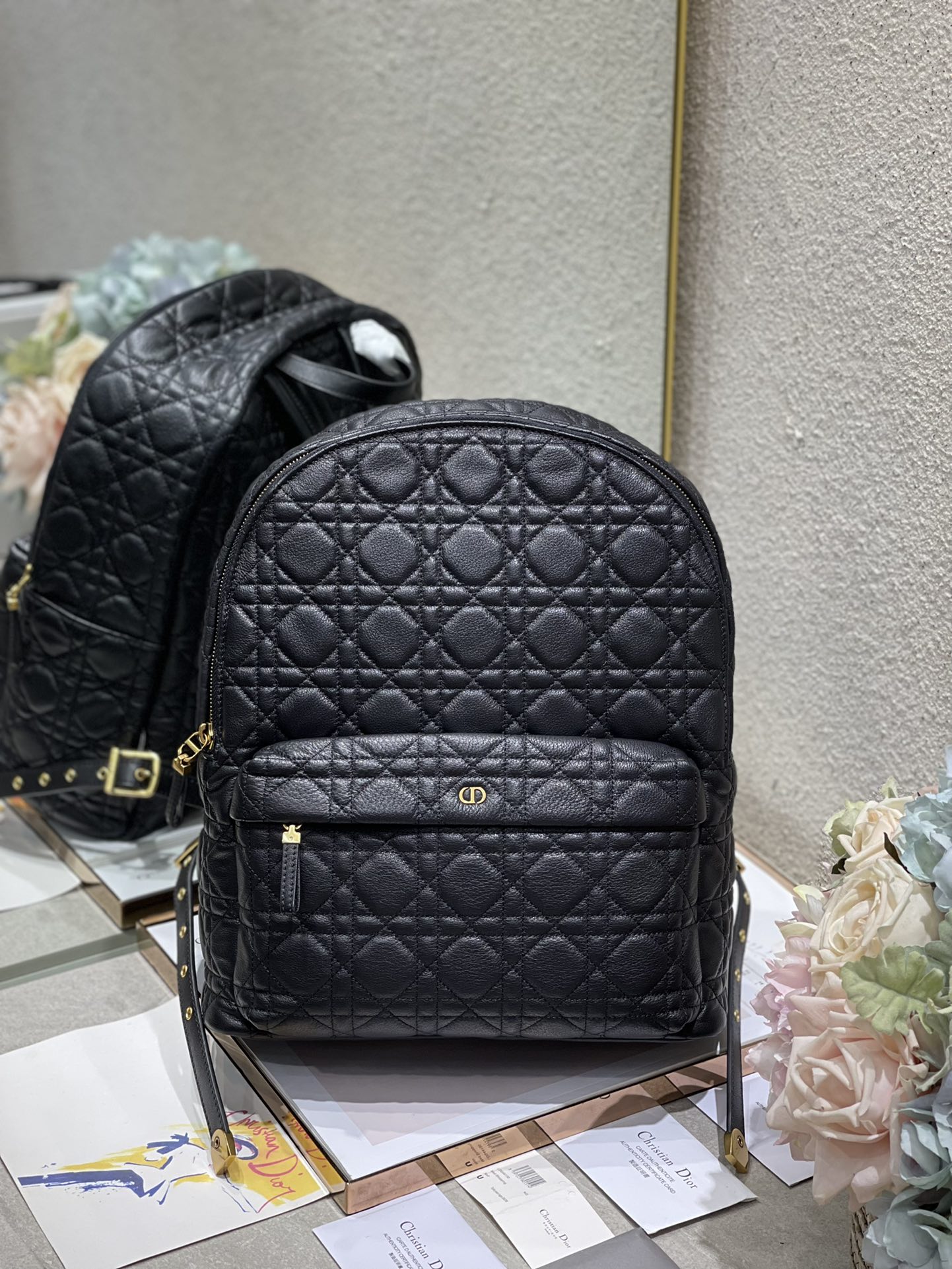 Dior Oblique Large Full Leather Backpack Leather with Grid Lines