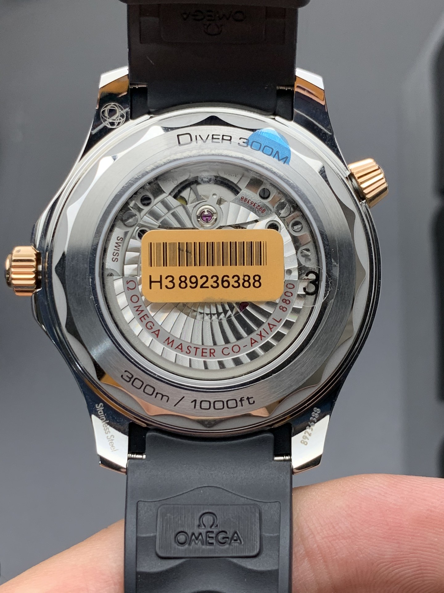 Omega 间玫瑰海马300