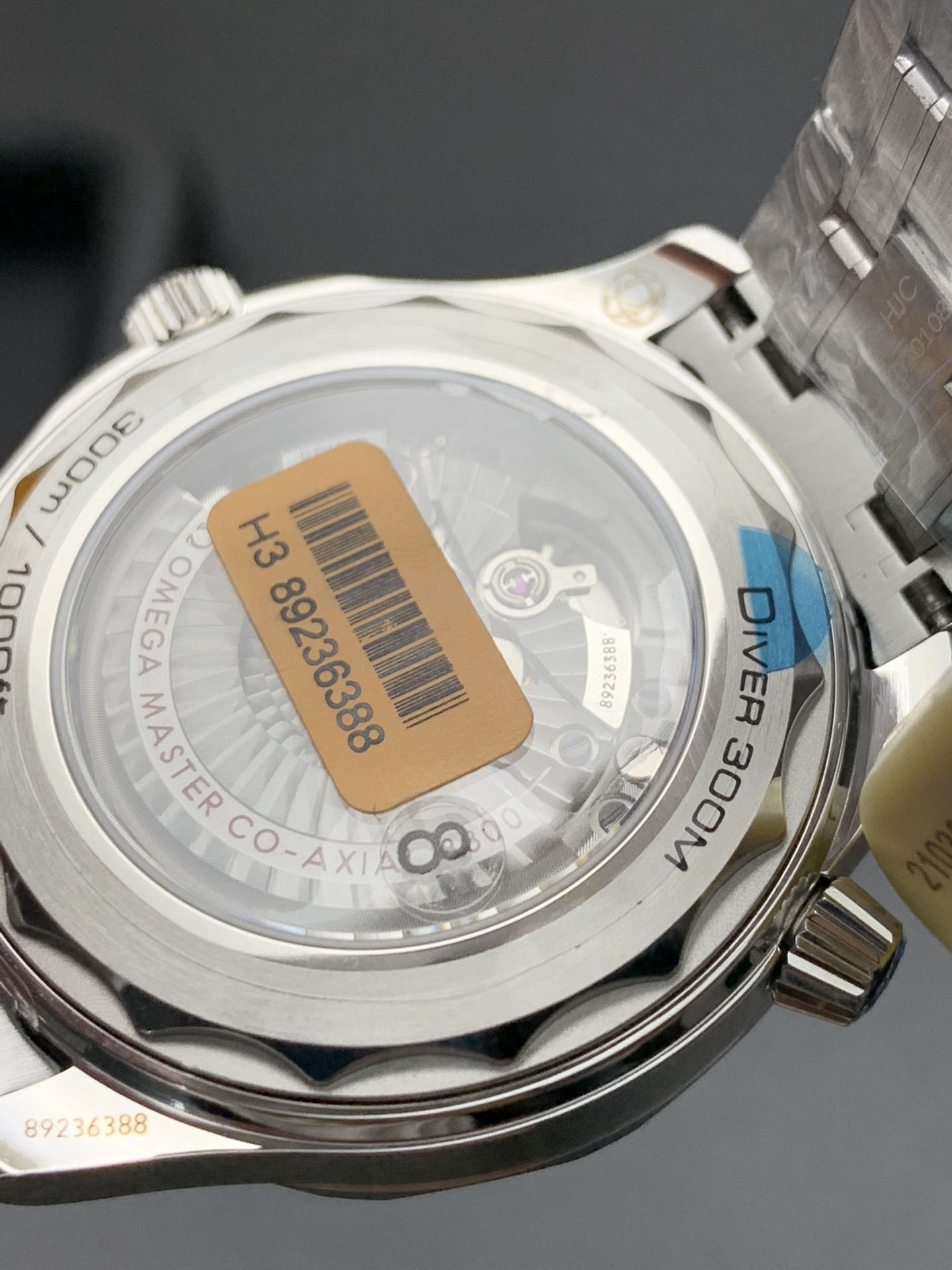 Omega 蓝海马300