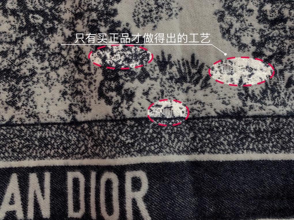Dior迪奥蓝色茹伊印花Fierce 披肩91DFI140I057