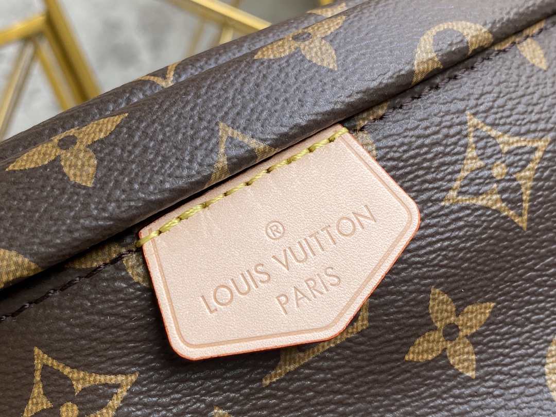 Louis Vuitton Haute Couture Classic Luxury Handbag Shoulder Crossbody 6