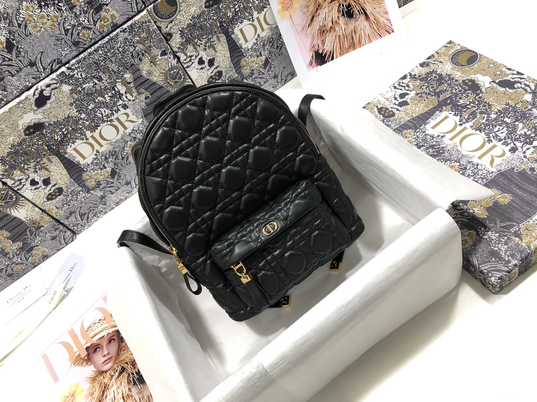 Dior Knockoff
 Bags Backpack Black Gold Sewing Vintage Sheepskin
