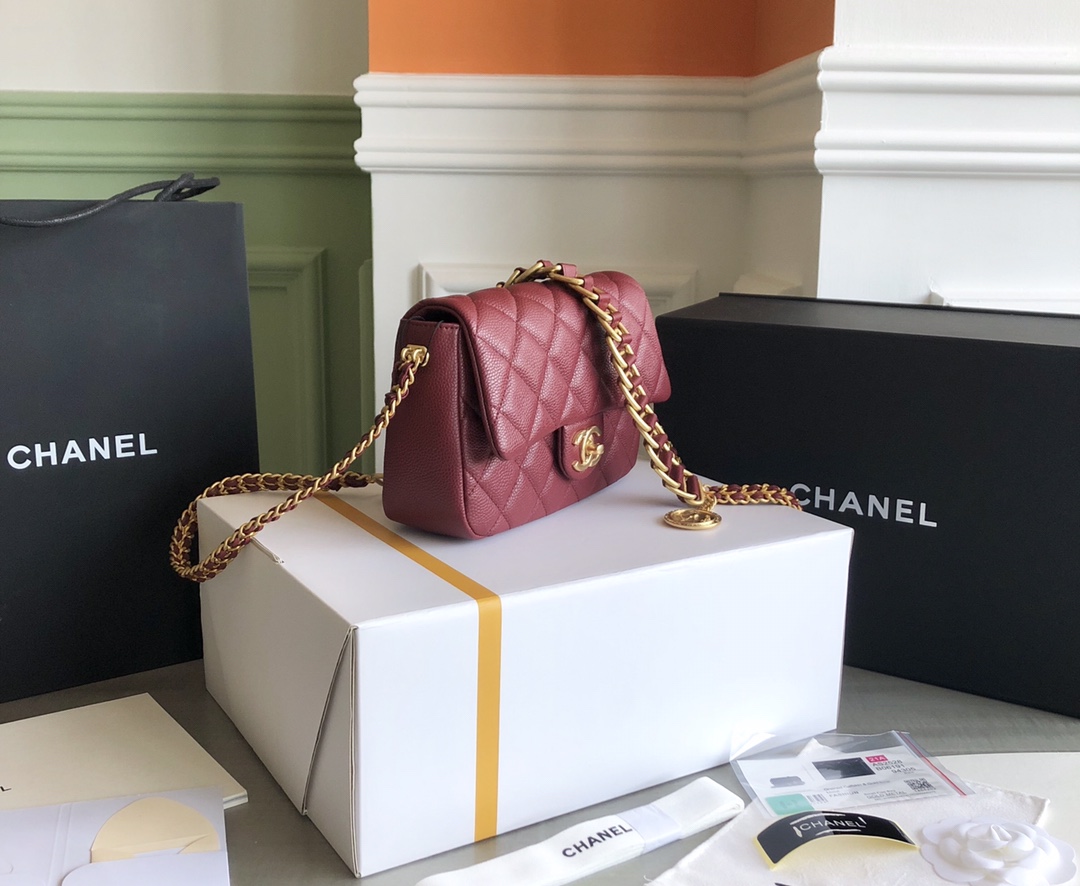 Premium Platinum Edition Chanel ❥2021 Métiers d'Art Gold Coin Bag 3