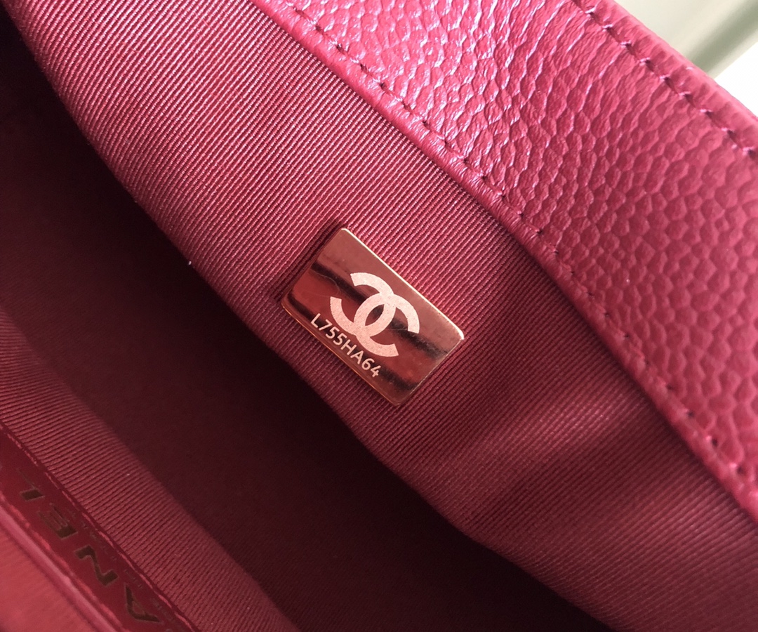 Premium Platinum Edition Chanel ❥2021 Métiers d'Art Gold Coin Bag 8