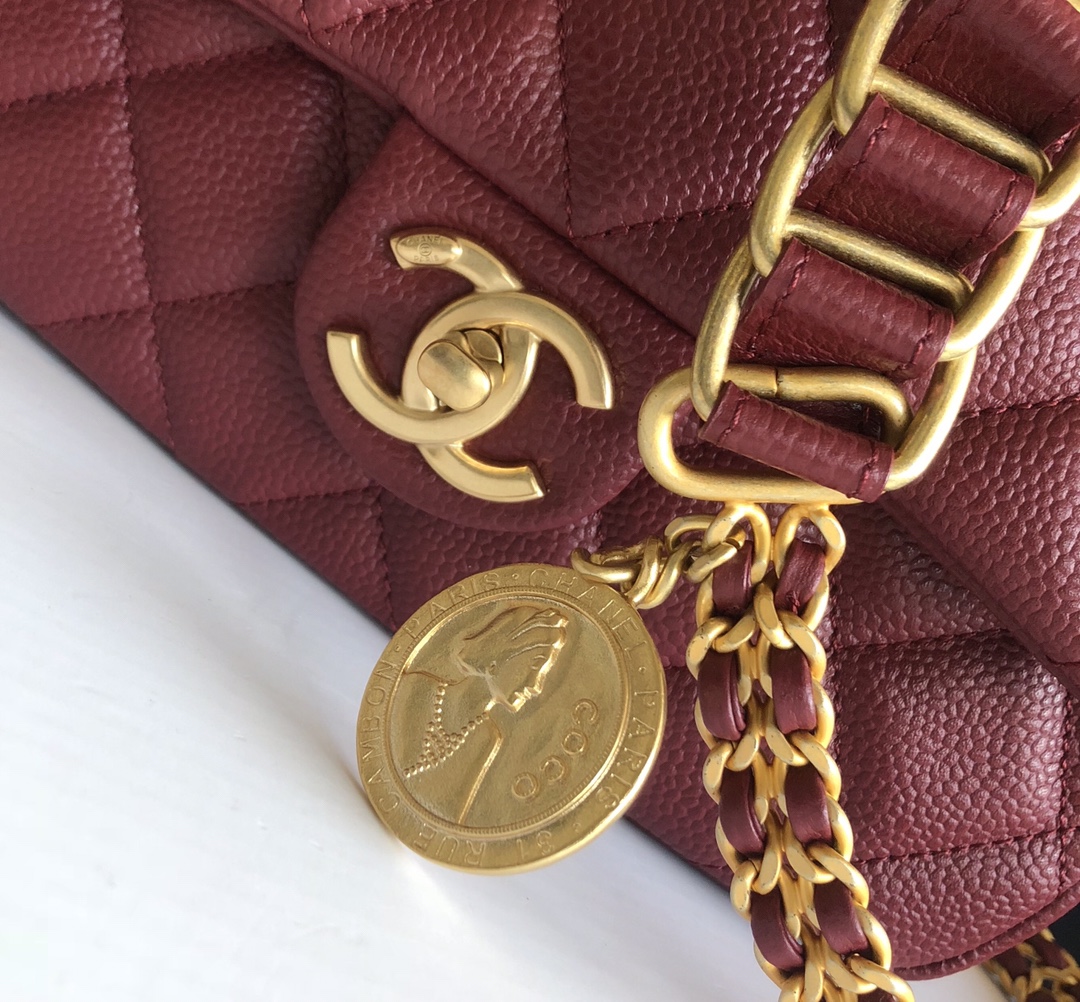 Premium Platinum Edition Chanel ❥2021 Métiers d'Art Gold Coin Bag 5