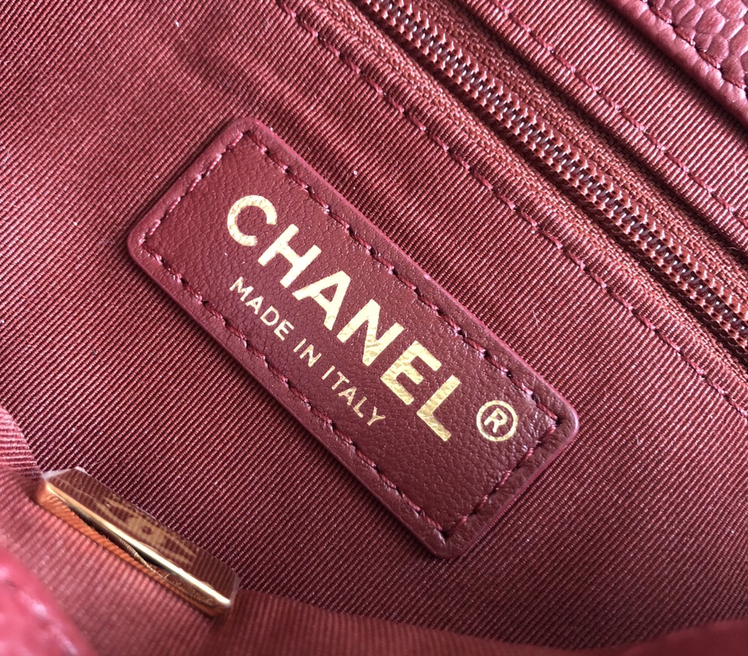 Premium Platinum Edition Chanel ❥2021 Métiers d'Art Gold Coin Bag 9
