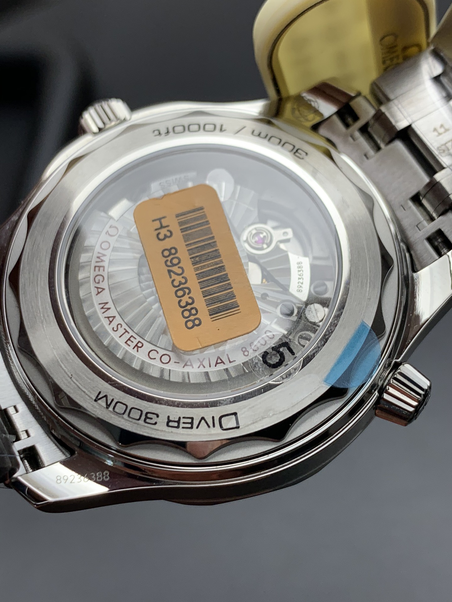 Omega 蓝海马300