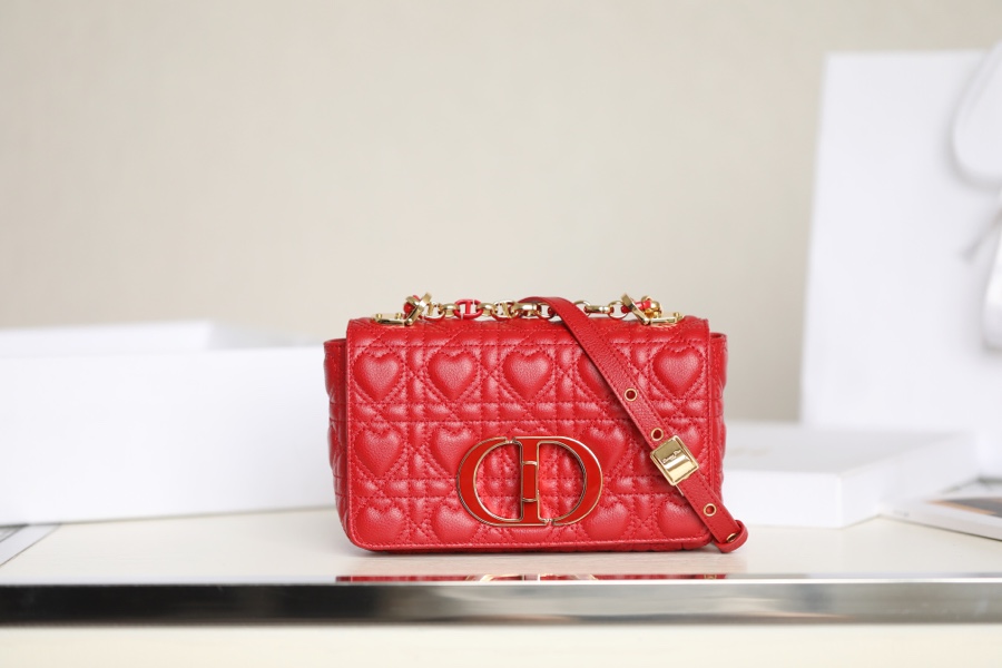 Dior Caro Bags Handbags Red Embroidery Cowhide Chains