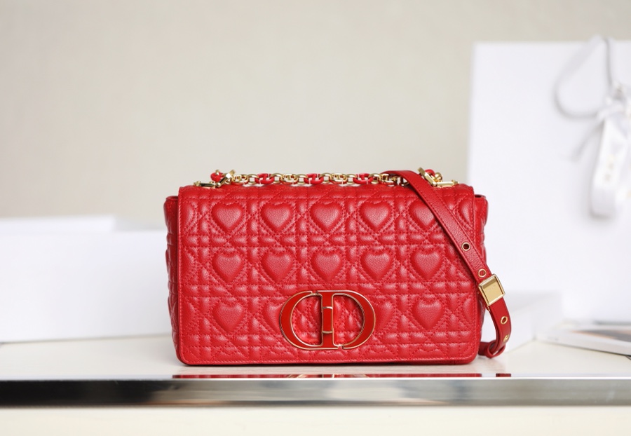 Dior Caro Perfect 
 Bags Handbags Red Embroidery Cowhide Chains