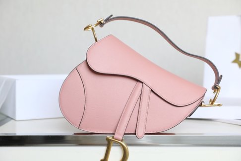 Dior Saddle Saddle Bags Gold Pink Calfskin Cowhide