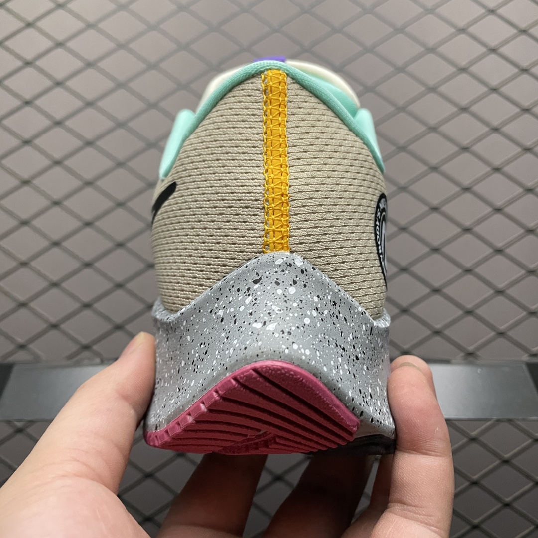 NKZoomPegasus38登月3