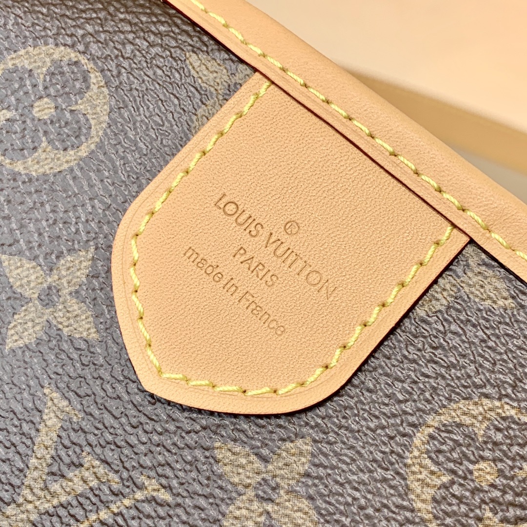 Louis Vuitton LV Delightful中古购物包 M40352
