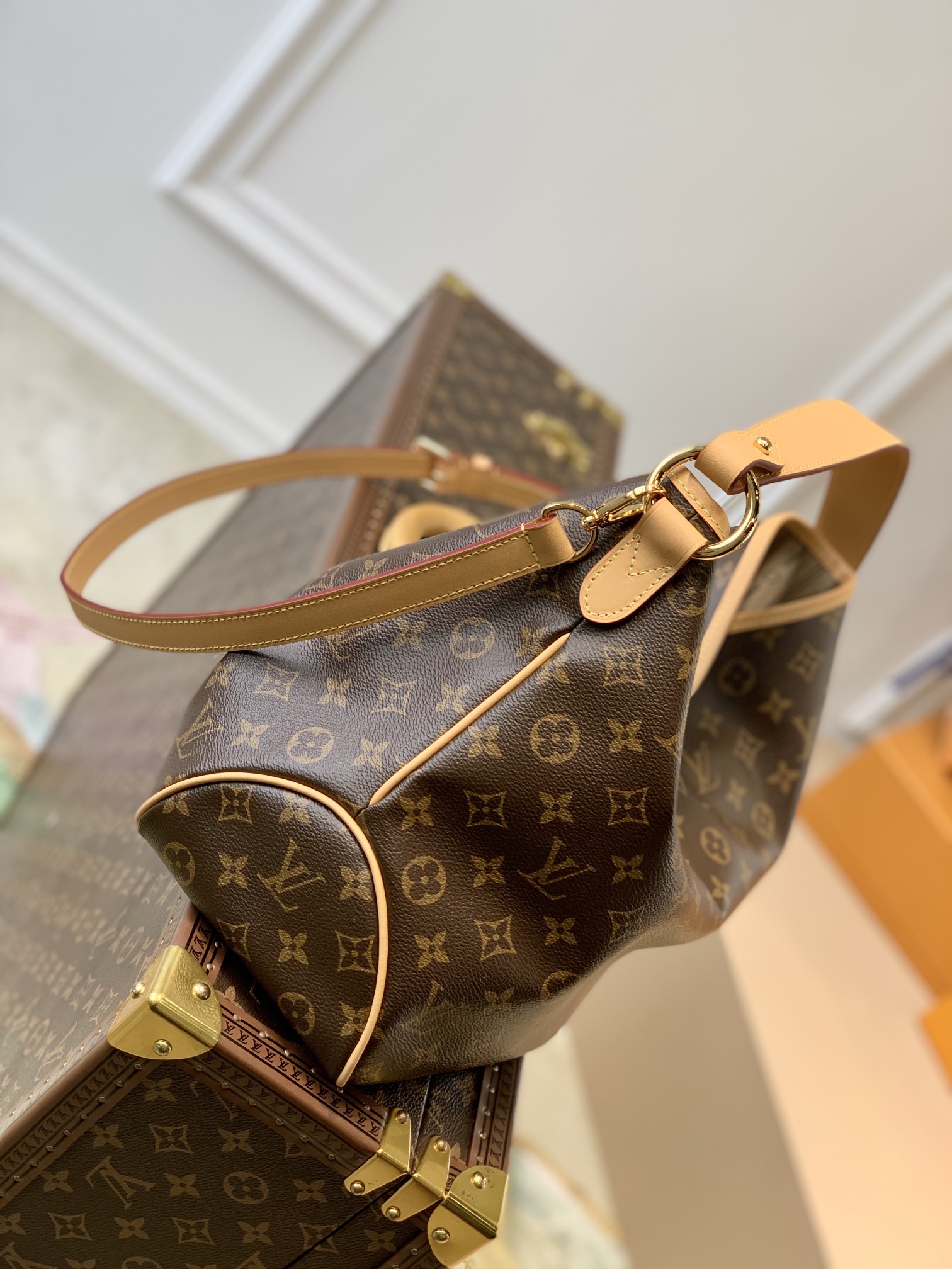 Louis Vuitton LV Delightful中古购物包 M40352