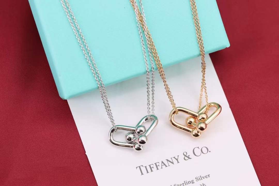 Tiffany & Co. Tiffany&Co.Hardwear U形竹节锁骨项链