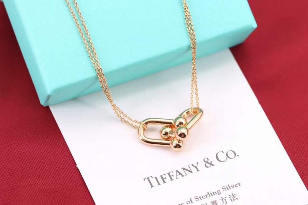 Tiffany & Co. Tiffany&Co.Hardwear U形竹节锁骨项链