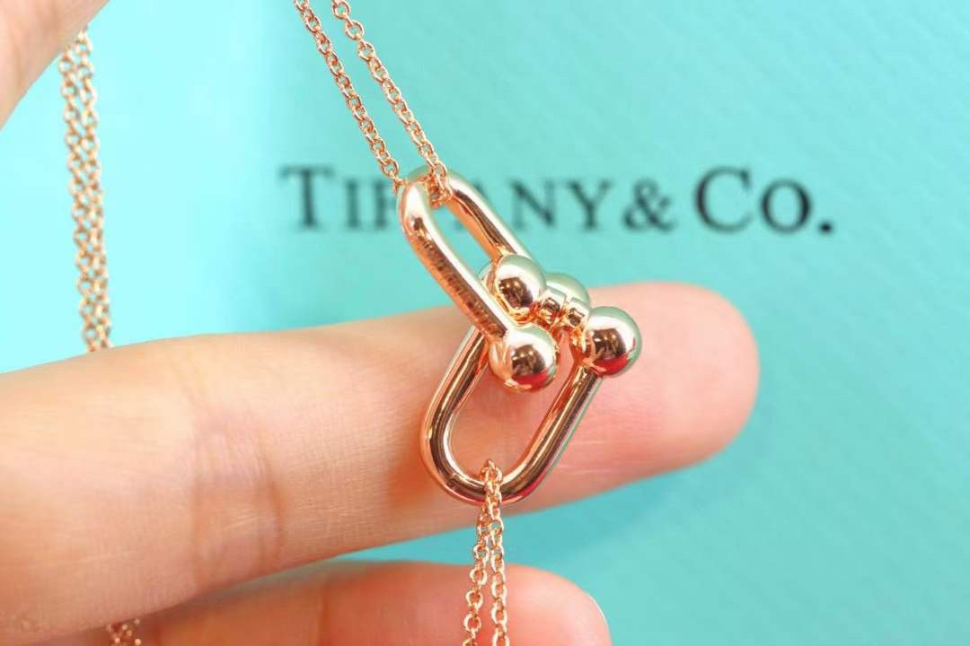 Tiffany & Co. Tiffany&Co.Hardwear U形竹节锁骨项链