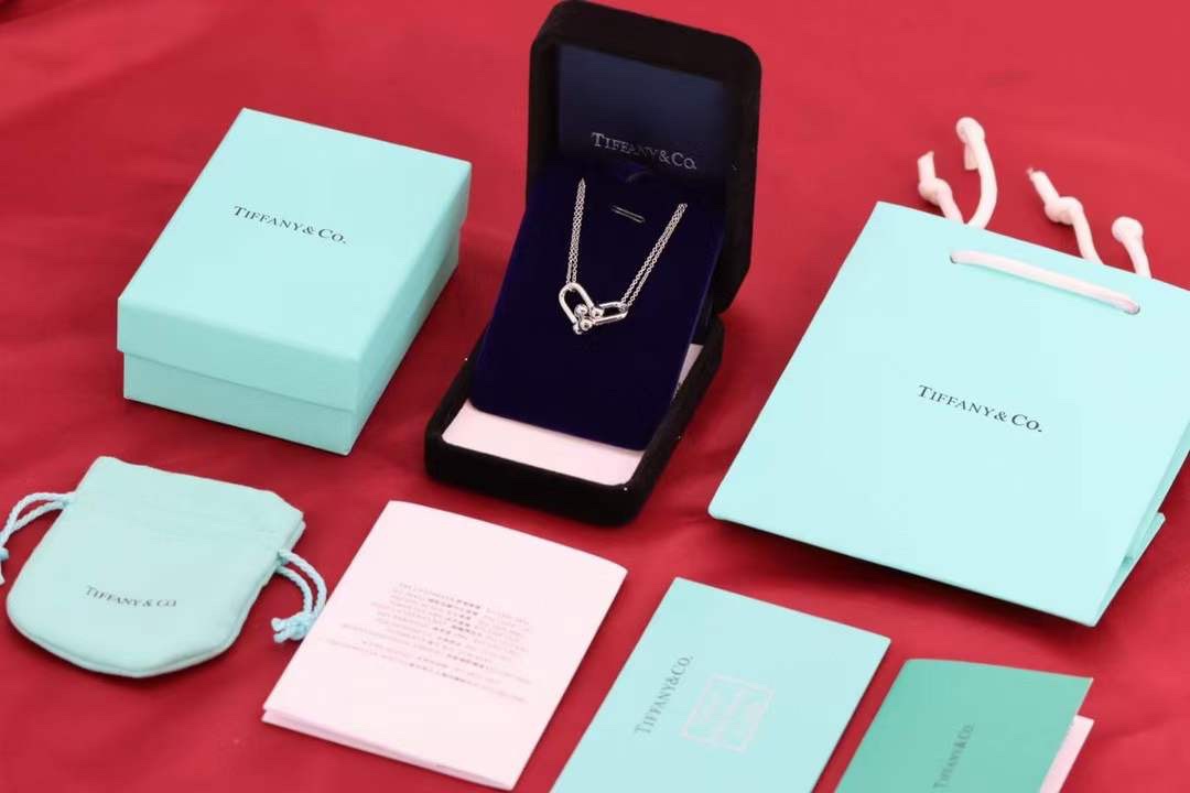 Tiffany & Co. Tiffany&Co.Hardwear U形竹节锁骨项链