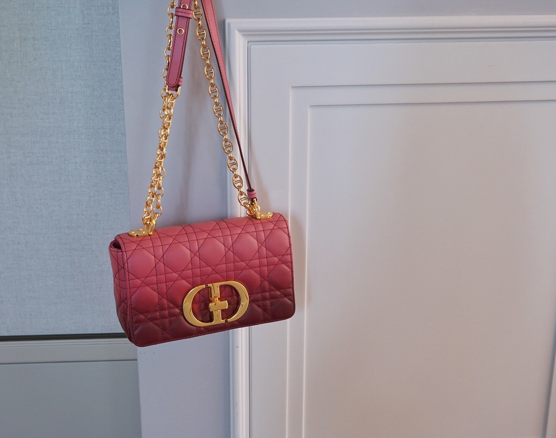 Dior Caro Bags Handbags Red Sheepskin