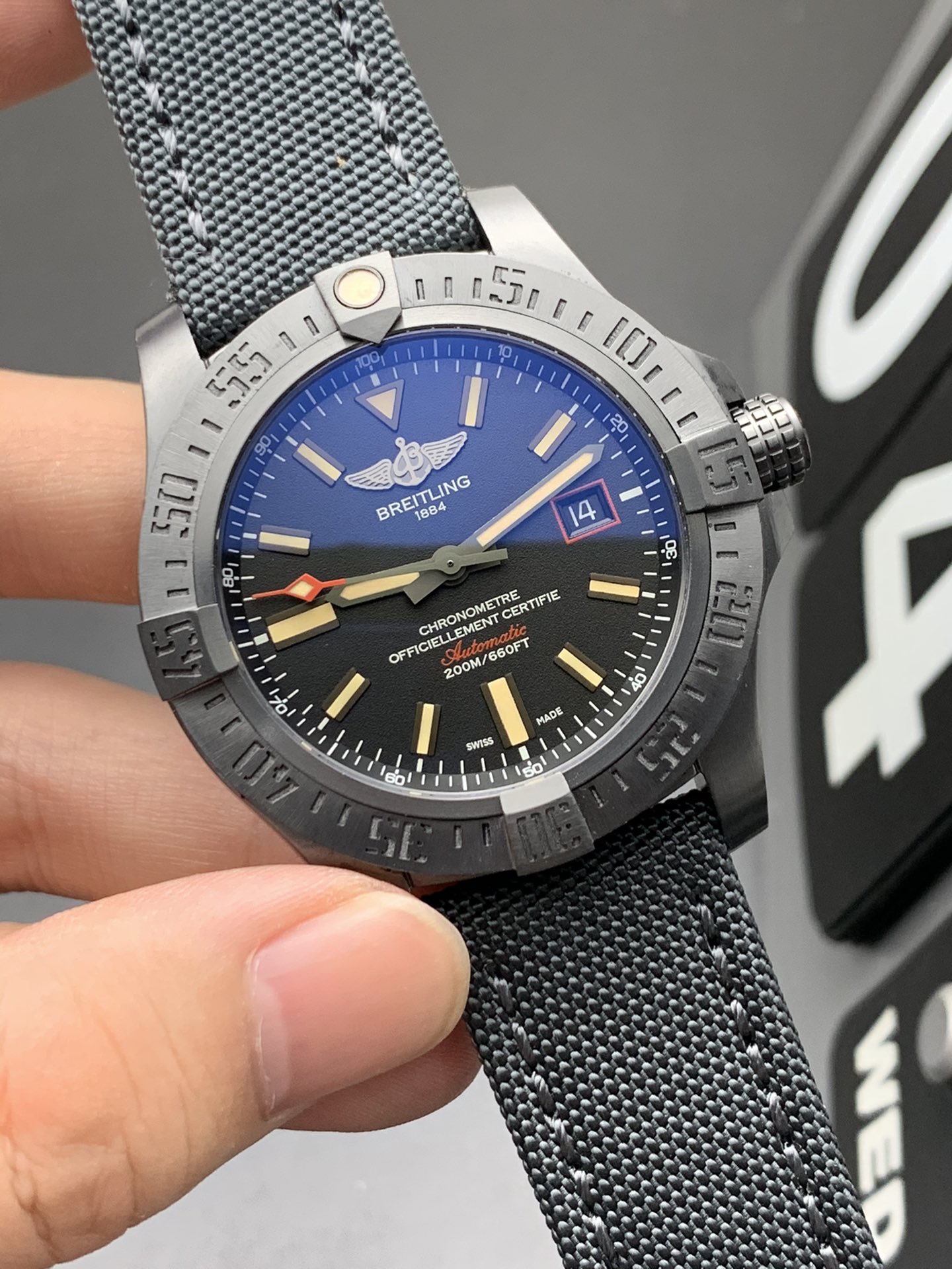 Rolex 特价黑鸟
