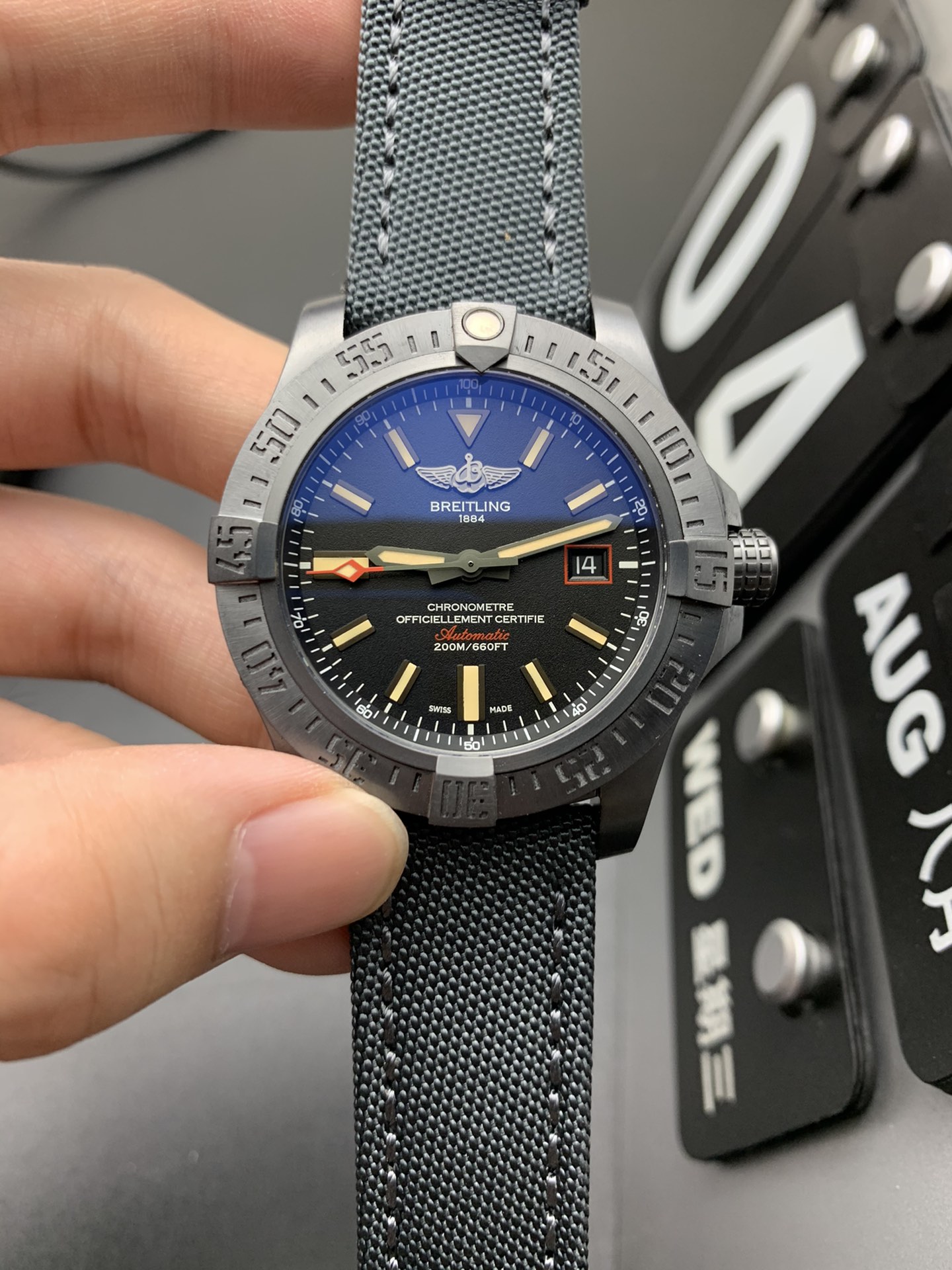 Rolex 特价黑鸟