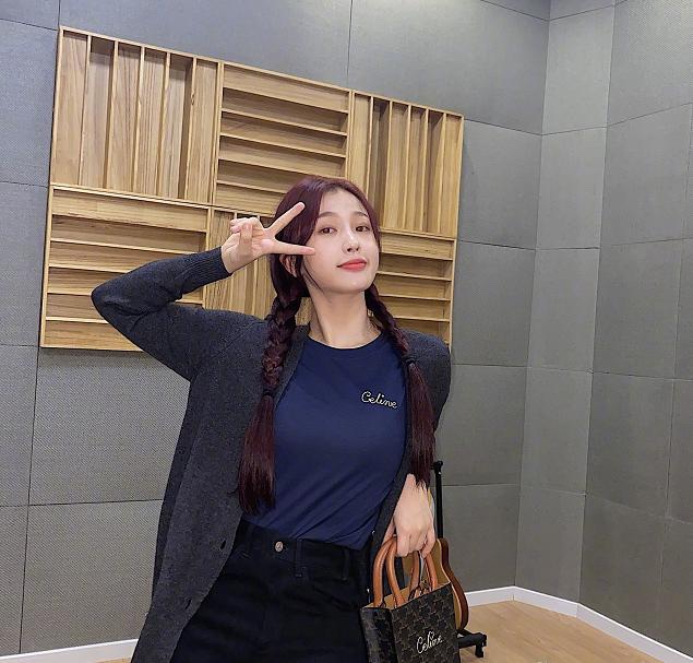 셀린느 가방 86469 Celine Bag
