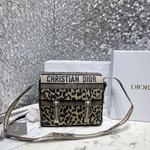 Dior Handbags Messenger Bags Beige Leopard Print Embroidery Casual