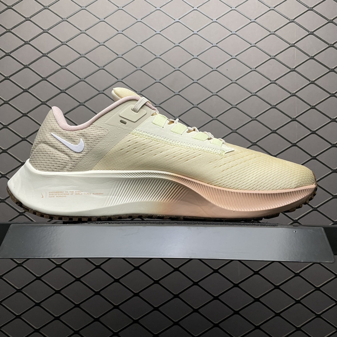 NKZoomPegasus38登月3