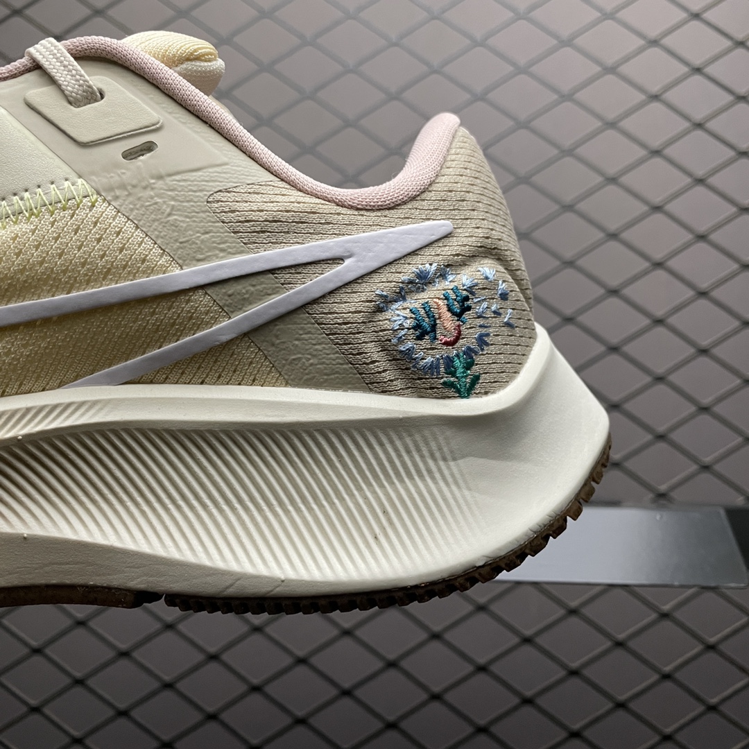 NKZoomPegasus38登月3