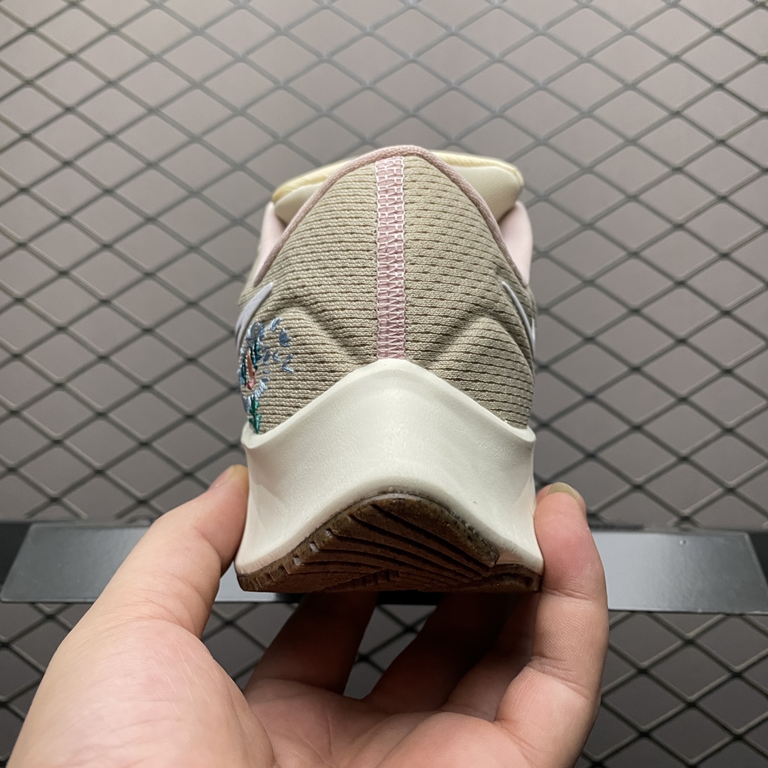 NKZoomPegasus38登月3