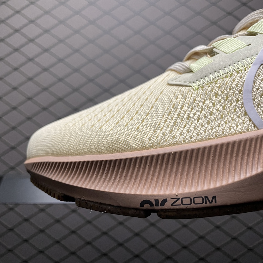 NKZoomPegasus38登月3