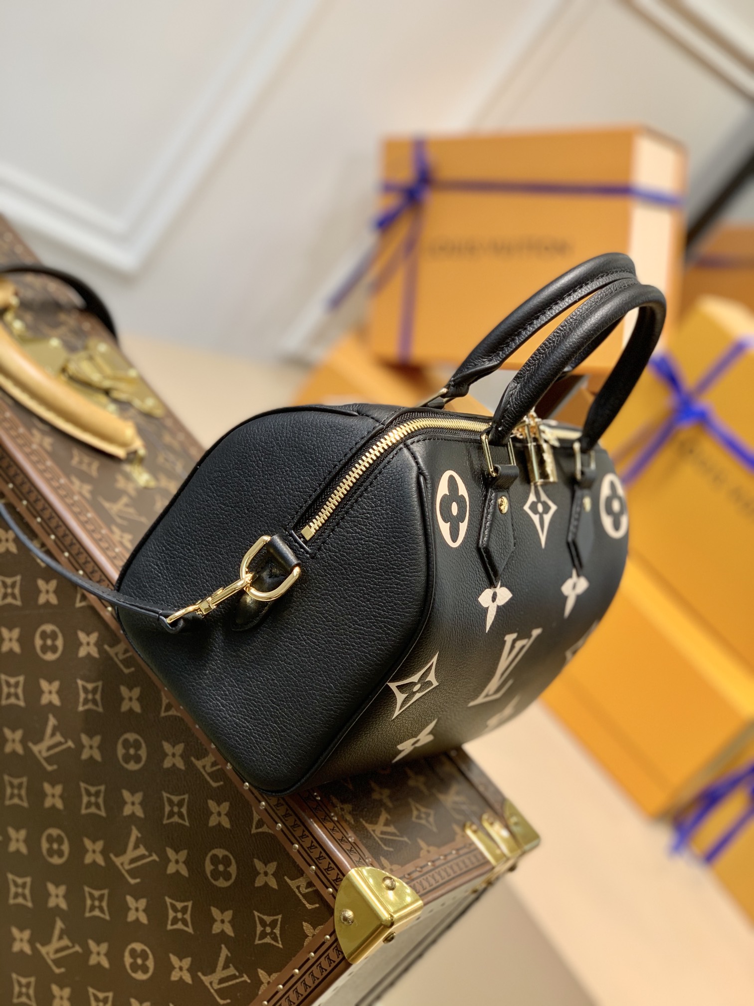 Louis Vuitton LV Speedy Bandoulière 25 handbag M58947黑色