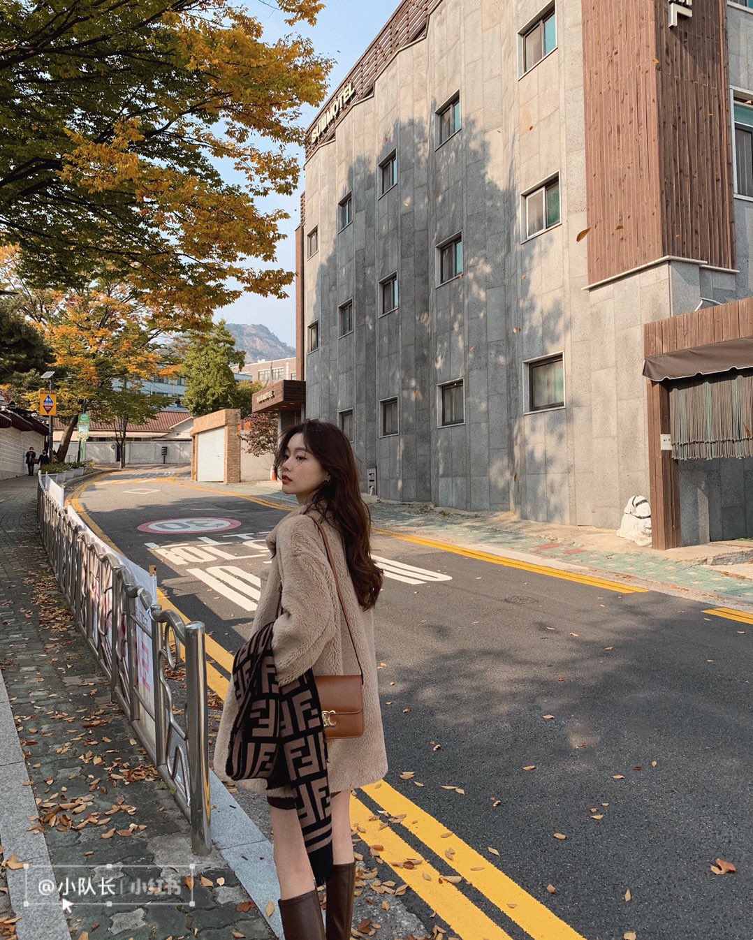 CELINE TEEN TRIOMPHE 18.5CM BAG 188423焦糖色