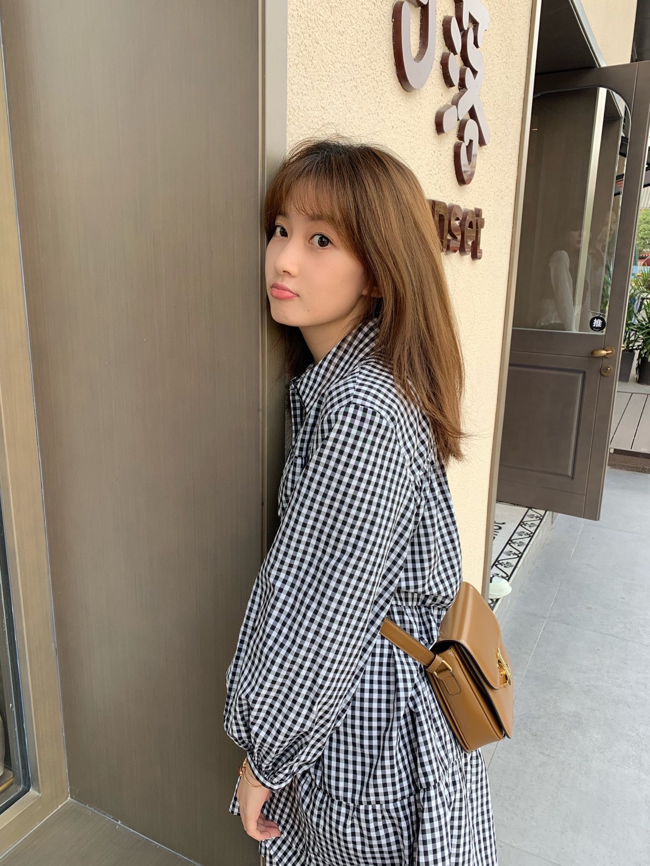 CELINE TEEN TRIOMPHE 18.5CM BAG 188423焦糖色