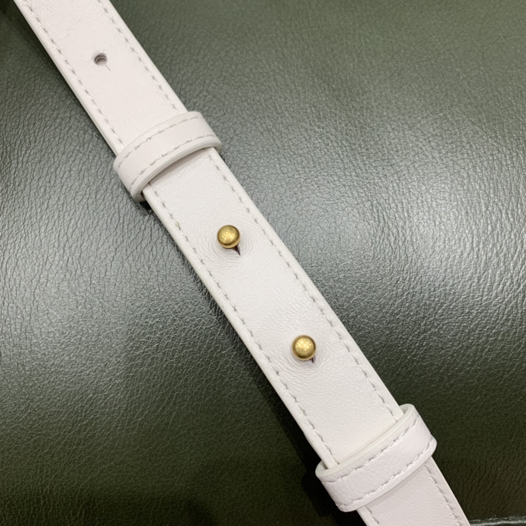 Bottega Veneta Mini Cassette 小包 666688羊皮白色