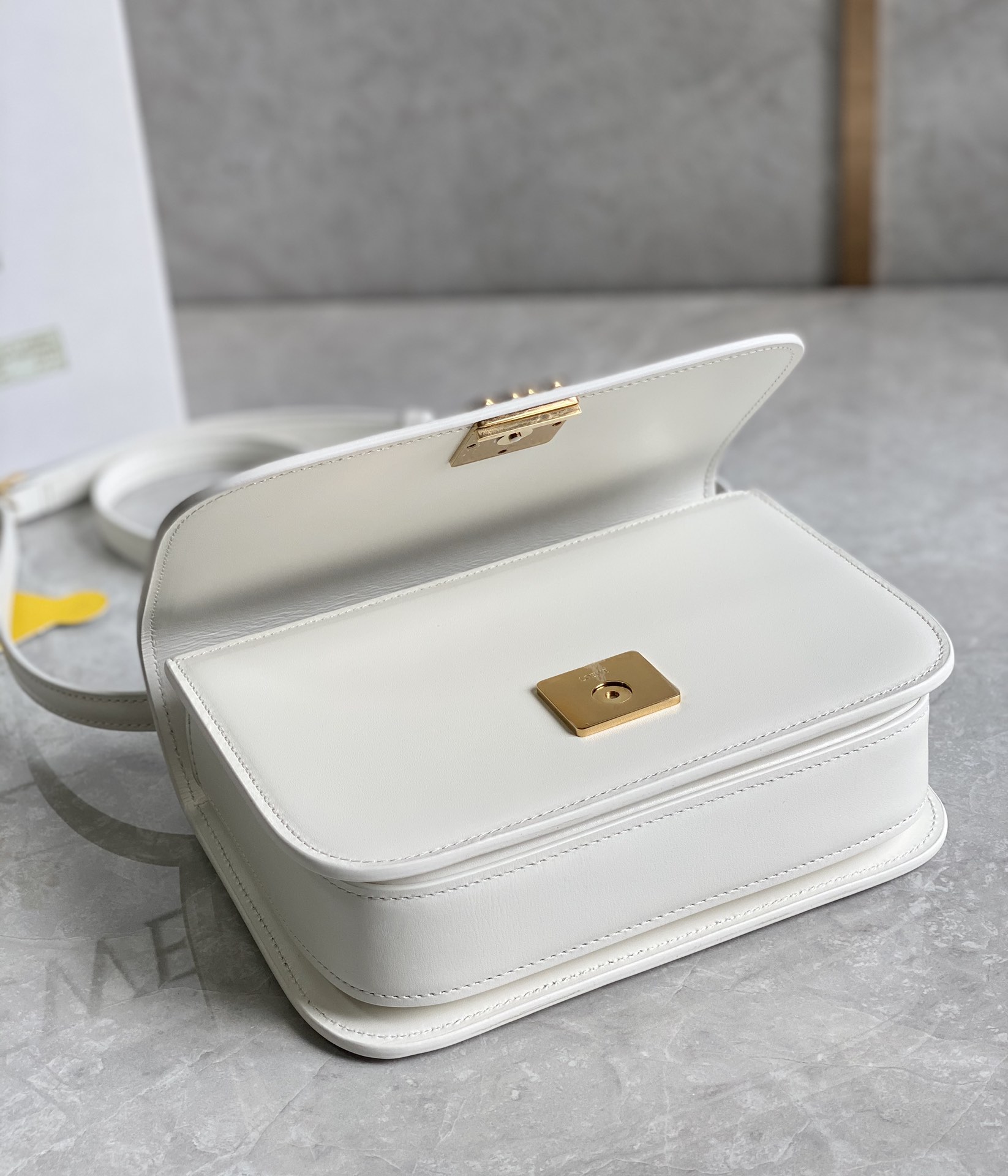 LOEWE罗意威 最新款Goya Bag 小号白色0666
