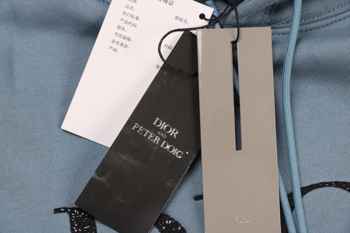 Dior 21fw 星空刺绣字母 连帽卫衣